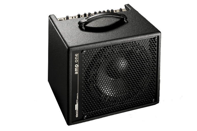 AER The Acoustic People AER Amp One Bass Combo Amplifier, 200 Watt, 1x10 Inch