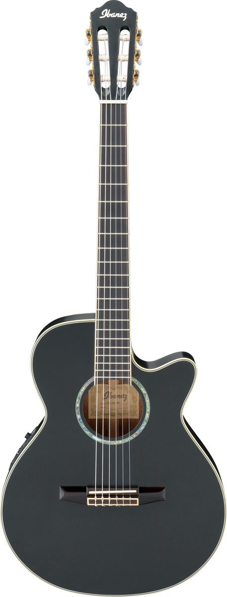 Ibanez Ibanez AEG10NE AEG Classical Cutaway Acoustic-Electric Guitar - Black Flat