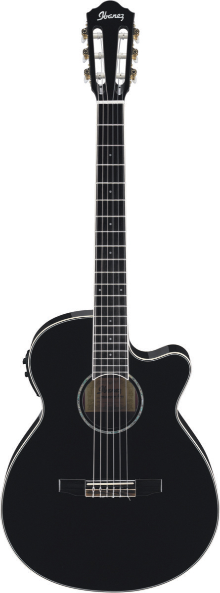 Ibanez Ibanez AEG10NII Grand Concert Classical Acoustic-Electric Guitar - Black