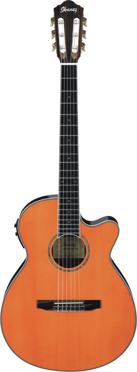 Ibanez Ibanez AEG10NII Grand Concert Classical Acoustic-Electric Guitar - Tangerine