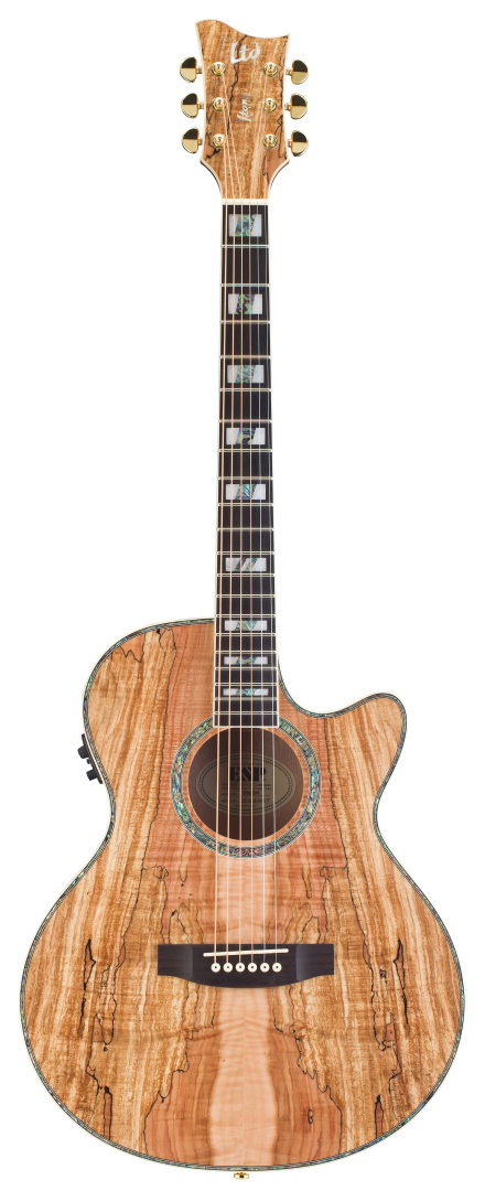 ESP ESP LTD Xtone EW-SM Exotic Wood Acoustic-Electric Guitar - Spalted Maple