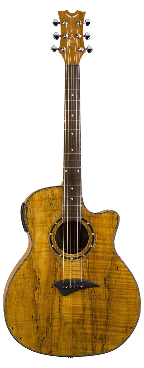 Dean Dean Exotica Acoustic-Electric Guitar, Spalted Maple