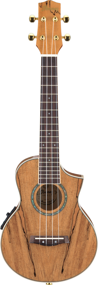 Ibanez Ibanez UEW20SME Acoustic-Electric Ukulele with Gig Bag - Natural