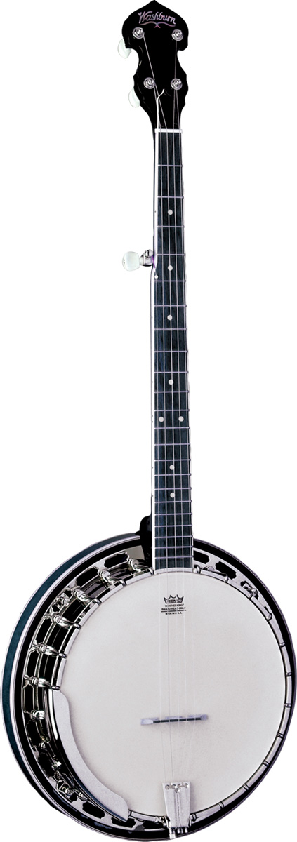 Washburn Washburn B14 5-String Banjo - Natural