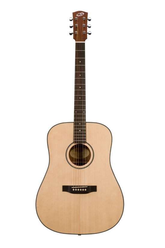 Bedell Bedell BDD-18-M Discovery Acoustic Guitar with Gig Bag