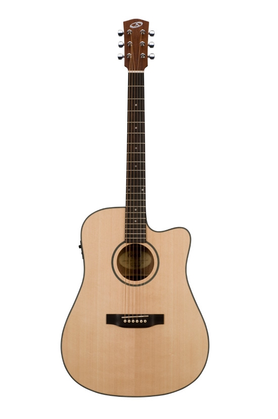 Bedell Bedell BDDCE-18-M Discovery Acoustic-Electric Guitar with Gig Bag