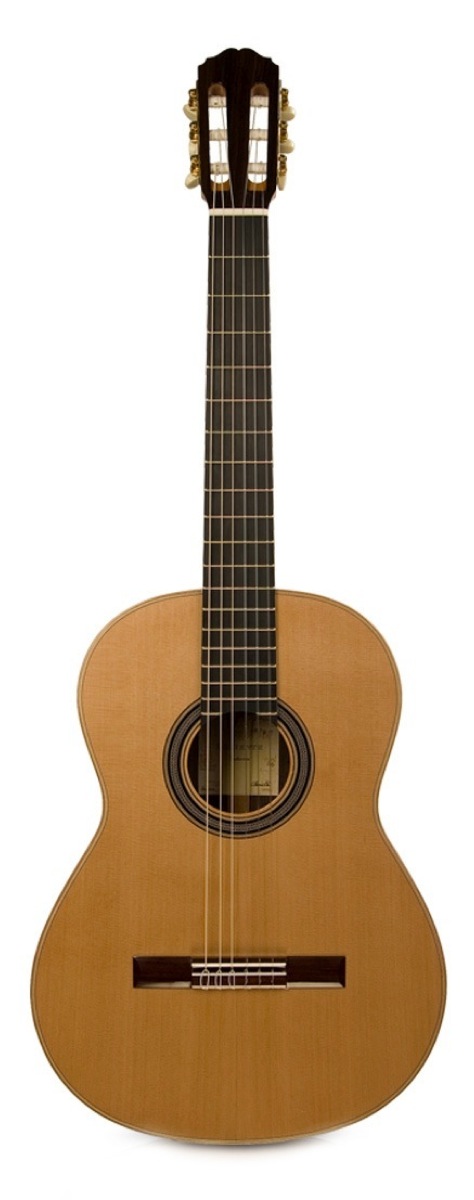 Cordoba Guitars Cordoba Loriente Clarita Cedar Classical Acoustic Guitar