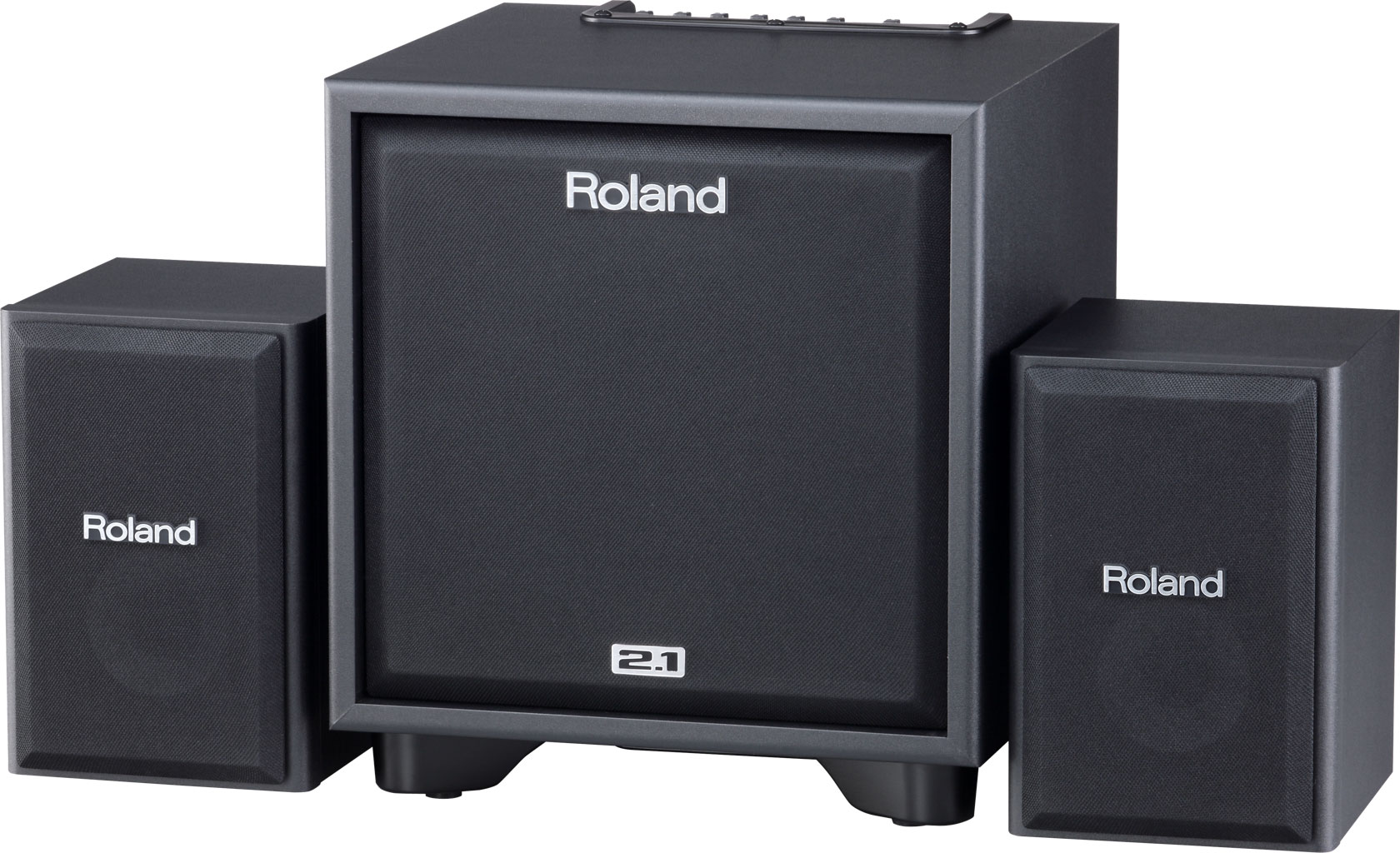 Roland Roland CM110 Cube Monitor Speaker System