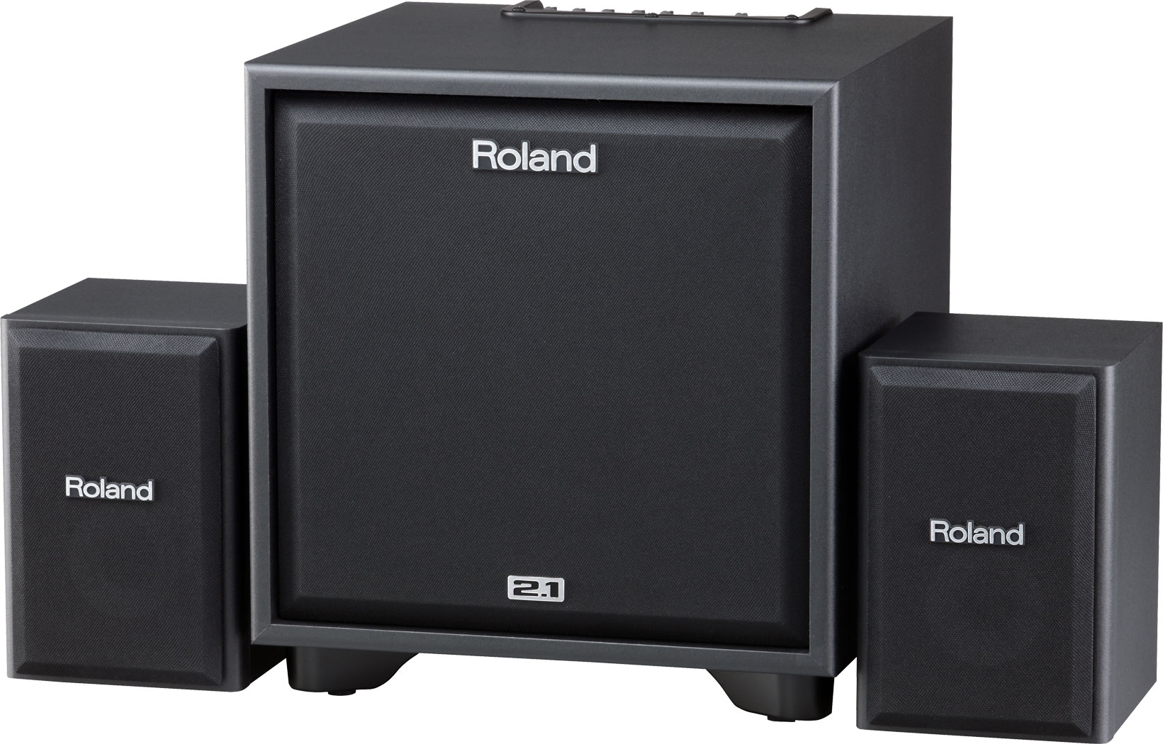 Roland Roland CM220 Cube Monitor Speaker System