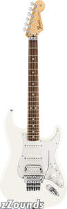 Fender Standard Stratocaster HSS Electric Guitar with Floyd Rose Rosewood Neck