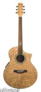 Ibanez Acoustic guitar