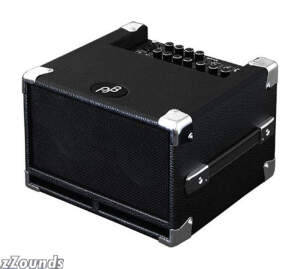 Phil Jones BG100 Bass Cub Combo Amplifier 100 Watts 2x5 in