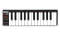 Akai Lpk25 Laptop Performance Keyboard