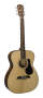 Alvarez RF210 Folk Acoustic Guitar