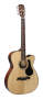 Alvarez RF210C Classical Acoustic Electic Guitar