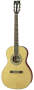 Aria APSTDII Parlour Acoustic Guitar