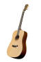 Bedell TB 17 G Dreadnought Acoustic Guitar with Case