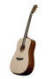 Bedell TB 18 G Dreadnought Acoustic Guitar with Case