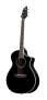Breedlove C25CM Atlas Series Stage Black Magic Concert Acoustic Electric Guitar with Case