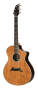 Breedlove Performance Series Focus Special Edition Acoustic Guitar with Case