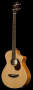 Breedlove B350CBe4 Passport Plus Acoustic Electric Bass with Gig Bag