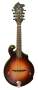 Breedlove Quartz FF Mandolin with Case
