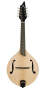 Breedlove Quartz OF Mandolin with Case