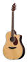 Breedlove D25SR Atlas Series Stage Dreadnought Acoustic Electric with Case