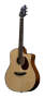 Breedlove D25SM Atlas Series Studio Dreadnought Acoustic Electric Guitar with Gig Bag