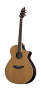 Breedlove J350CR Atlas Series Studio Jumbo Acoustic Electric Guitar with Gig Bag