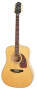 Epiphone Masterbilt DR500P Acoustic Guitar