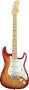 Fender American Standard Stratocaster Electric Guitar Maple With Case