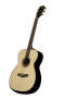 Great Divide SGM 28 G Orchestra Acoustic Guitar