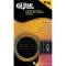 Hal Leonard's Guitar Method For The Beginning Electric Or Acoustic Guitarist Video