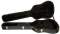 Ibanez Aeb50c Hardshell Bass Guitar Case For Aeb10