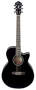 Ibanez AEG10E AEG Cutaway Acoustic Electric Guitar