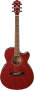 Ibanez AEG25E Acoustic Electric Guitar