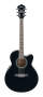 Ibanez Ael10e Acoustic-electric Guitar