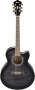 Ibanez Ael20e Ael Cutaway Acoustic-electric Guitar