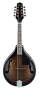 Ibanez M510 A Style Mandolin