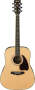 Ibanez PF25 Dreadnought Acoustic Guitar (with Case)