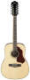 Ibanez SGT122 Sage Series 12-String Acoustic Guitar