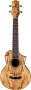 Ibanez UEW20 Concert Ukulele with Gig Bag