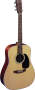 Martin D28 Dreadnought Acoustic Guitar with Case