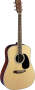 Martin D35 Dreadnought Acoustic Guitar with Case