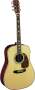 Martin D41 Dreadnought Acoustic Guitar with Case