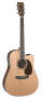 Martin DC16RGTE AURA Dreadnought Acoustic Electric Guitar with Case
