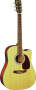 Martin DC1E Acoustic Electric Guitar with Case