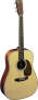Martin HD28 Dreadnought Acoustic Guitar with Case