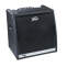 Peavey KB5 Keyboard Amplifier 150 Watts 2x10 in